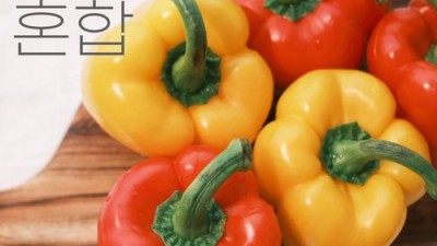 못난이 파프리카 2kg 득템! ✨ 솔직 후기 & 활용 꿀팁 대방출!